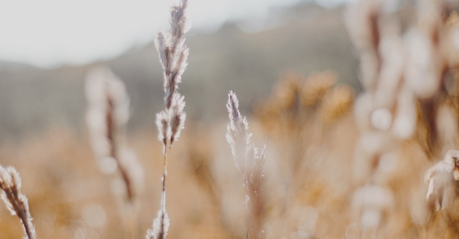 Support for Co-Parenting