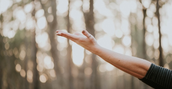 Support for Co-Parenting